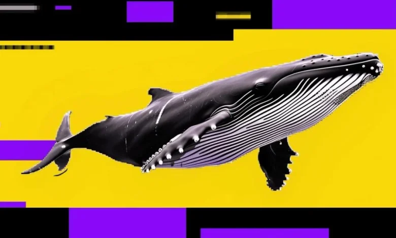 Bitcoin dip may not be over as whales sell into retail buying — a bearish signal