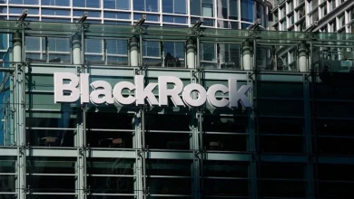 BlackRock flags AI as crypto’s next big use case, not token boom