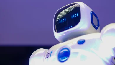 Blog - The Promises and Challenges for Ethical Carebots