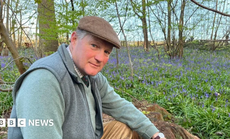 Bluebell bonanza as Hole Park estate hails earliest ever opening
