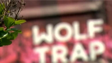 Bob Dylan, Erykah Badu, and Kidz Bop among Wolf Trap's Summer line-up