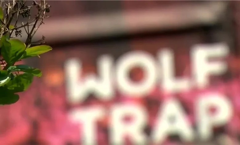 Bob Dylan, Erykah Badu, and Kidz Bop among Wolf Trap's Summer line-up