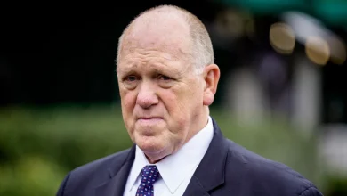 Border czar says ICE may not leave airports once TSA officers are paid