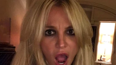 Britney Spears Gets Permanent Restraining Order Against Accused Stalker