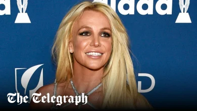 Britney Spears arrested for ‘driving under influence’