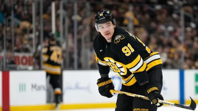 Bruins' Nikita Zadorov & Maple Leafs' Joshua Have Big Fight