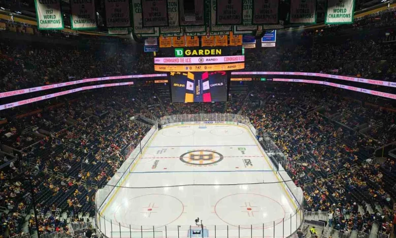 Bruins beat Caps 3-1 in post-deadline disappointment