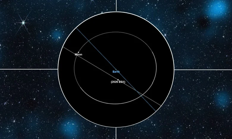 Bus-sized asteroid will fly past Earth tonight mere days after being discovered. Here's what to expect