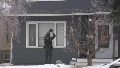 Calgary police investigating overnight shootings in 2 northeast communities