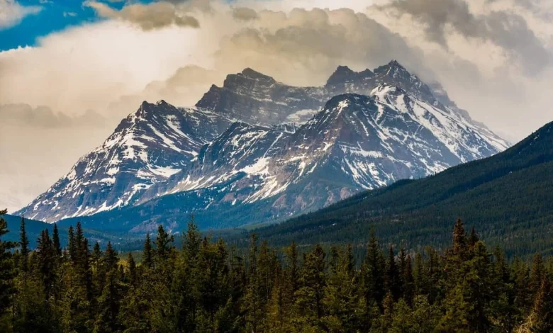 Canada holds first Express Entry draw under new category