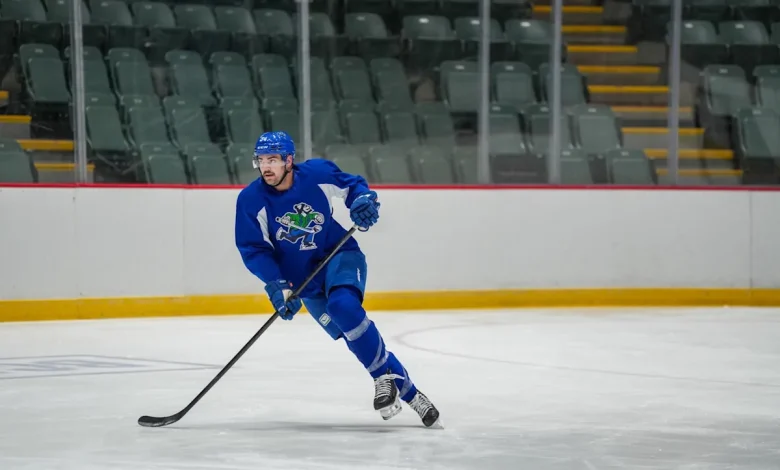 Canucks Recall Defenceman Cole Clayton From AHL