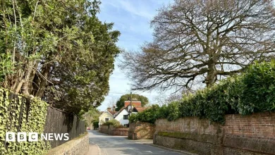 Caversham, Cookham and Petersfield among 2026 best places to live