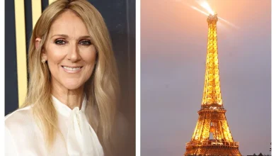 Céline Dion Expected To Confirm Paris Concerts On Monday