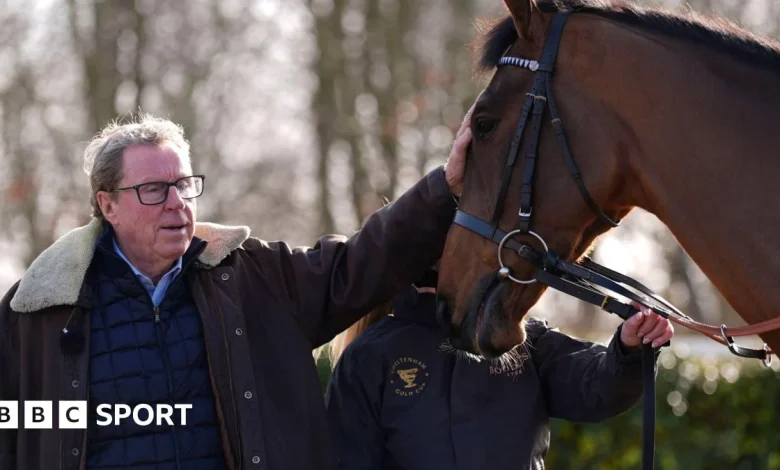 Cheltenham Festival 2026: Harry Redknapp's Jukebox Man runs in 14-strong Gold Cup field