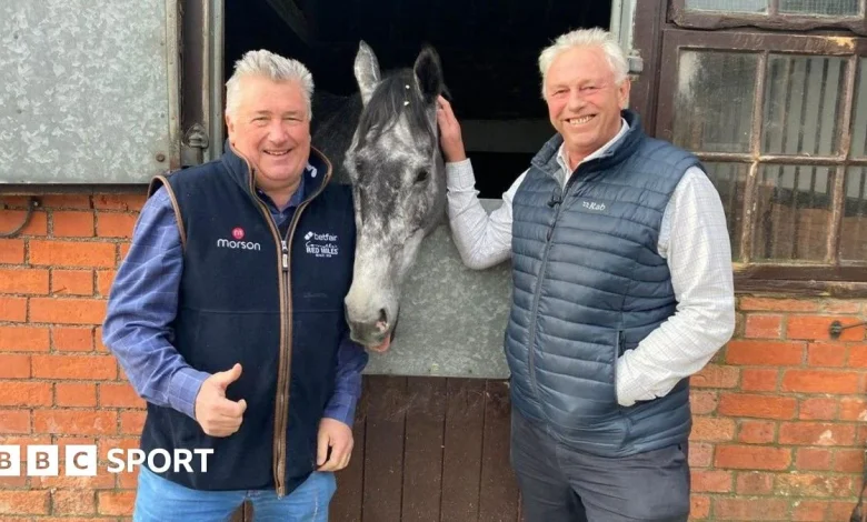 Cheltenham Festival 2026: Paul Nicholls hopes No Drama This End can continue Barber legacy