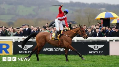 Cheltenham Festival Gold Cup race ends with third death this week