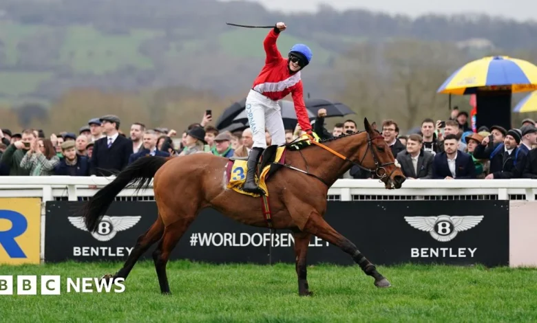 Cheltenham Festival Gold Cup race ends with third death this week