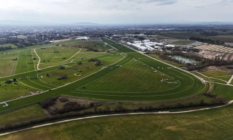 Cheltenham Festival horse Hansard dies after a fall