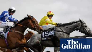 Cheltenham festival day two: L’Eau Du Sud can edge Majborough in Champion Chase