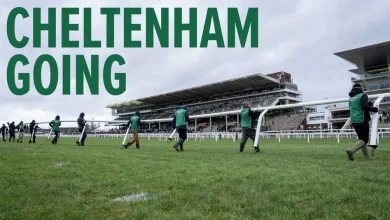 Cheltenham ground changed on eve of festival with watering under way