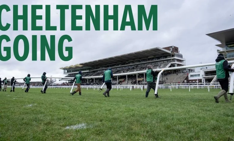 Cheltenham ground changed on eve of festival with watering under way