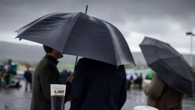 Cheltenham ground eases for Gold Cup day after heavy rainfall hits the track overnight
