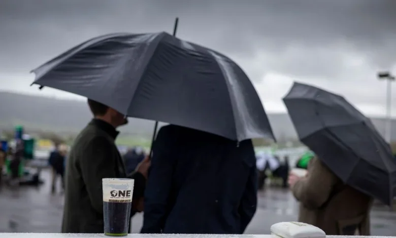 Cheltenham ground eases for Gold Cup day after heavy rainfall hits the track overnight