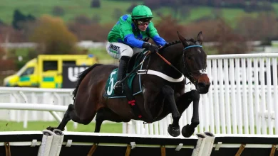 Cheltenham tips: Old Park Star tipped to get home team off to perfect start in the Supreme Novices' Hurdle