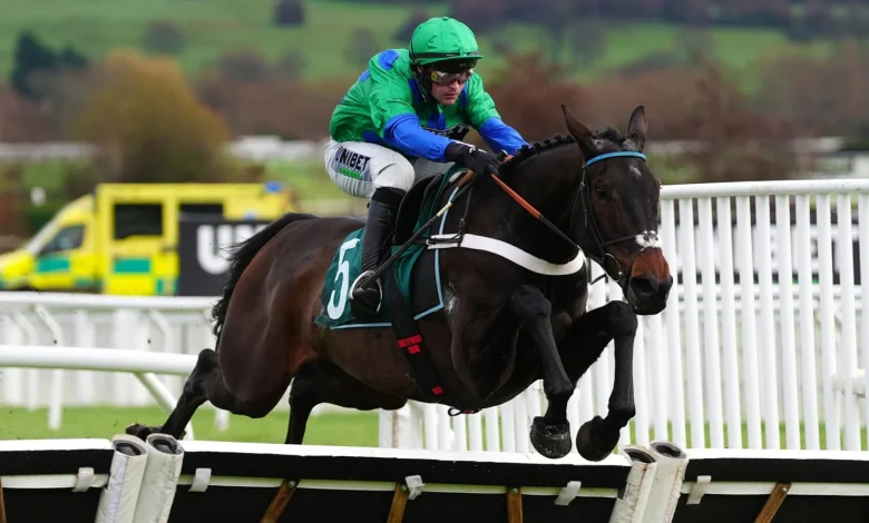 Cheltenham tips: Old Park Star tipped to get home team off to perfect start in the Supreme Novices' Hurdle