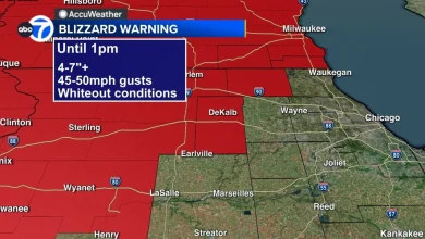 Chicago weather forecast: Blizzard warning in effect for parts of area for snow, strong winds, impacting travel | Live Radar
