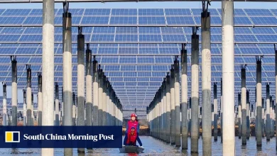 China poised to earn vast profits from global energy transition: analysts