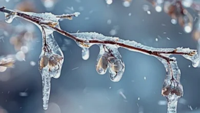 City declares significant weather event as snow and drizzle move in