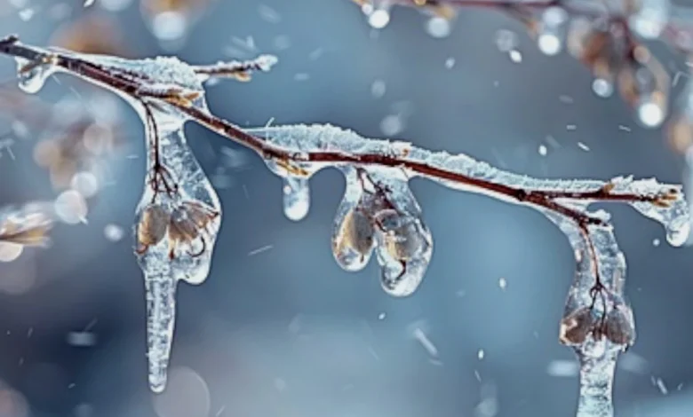 City declares significant weather event as snow and drizzle move in