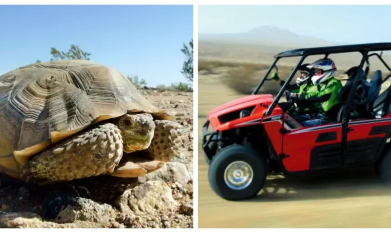 Closure of 2,200 miles of Mojave Desert trails has some celebrating, others frustrated