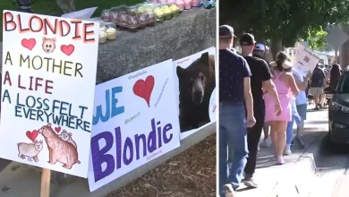 Community walk honors Monrovia mama bear Blondie euthanized after attack; over 100 neighbors call for policy change