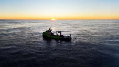Conclusion of the search for Malaysian Airlines flight MH370
