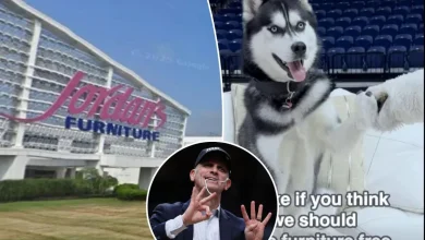Connecticut furniture store's bold UConn promotion two wins away from paying out