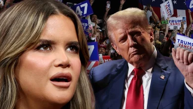 Country Singer Maren Morris Tells Donald Trump Supporters 'You Voted For This'