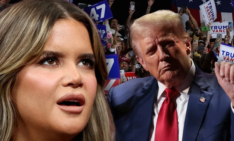 Country Singer Maren Morris Tells Donald Trump Supporters 'You Voted For This'