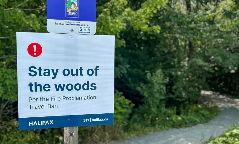 Court challenge of Nova Scotia’s ‘woods ban’ gets underway