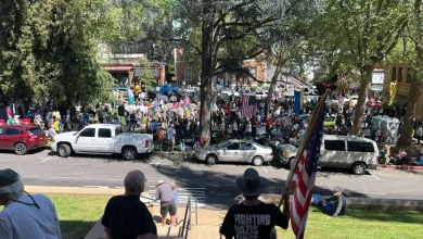 Crowds Gathered At No Kings Protests Around Mother Lode Over Weekend