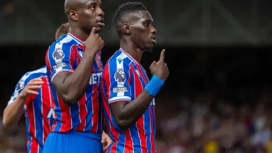 Crystal Palace’s Striker Emerges as Potential Newcastle Target
