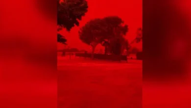 Cyclone Narelle : les images du ciel devenu rouge vif en Australie