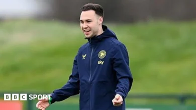Czech Republic v Republic of Ireland: Vale 'proud' to get his Irish call