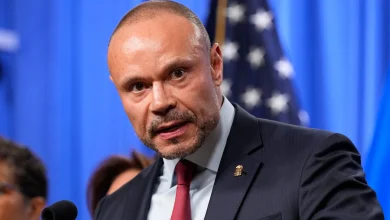 Dan Bongino And Tucker Carlson’s Brother Get Into Vicious Spat: ‘You Trust-Fund-Baby Horror Story!’