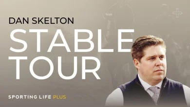 Dan Skelton Cheltenham Festival Stable Tour including The New Lion and Grey Dawning