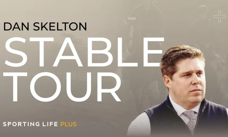 Dan Skelton Cheltenham Festival Stable Tour including The New Lion and Grey Dawning