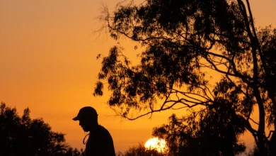 Dangerous heat wave to scorch Los Angeles this week