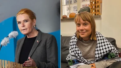 Danska förslaget: Inreseförbud mot Greta Thunberg
