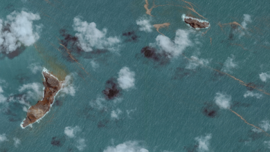 Deep magnitude 7.5 earthquake in Pacific Ocean shakes Tonga, triggers brief Tsunami Warning across islands